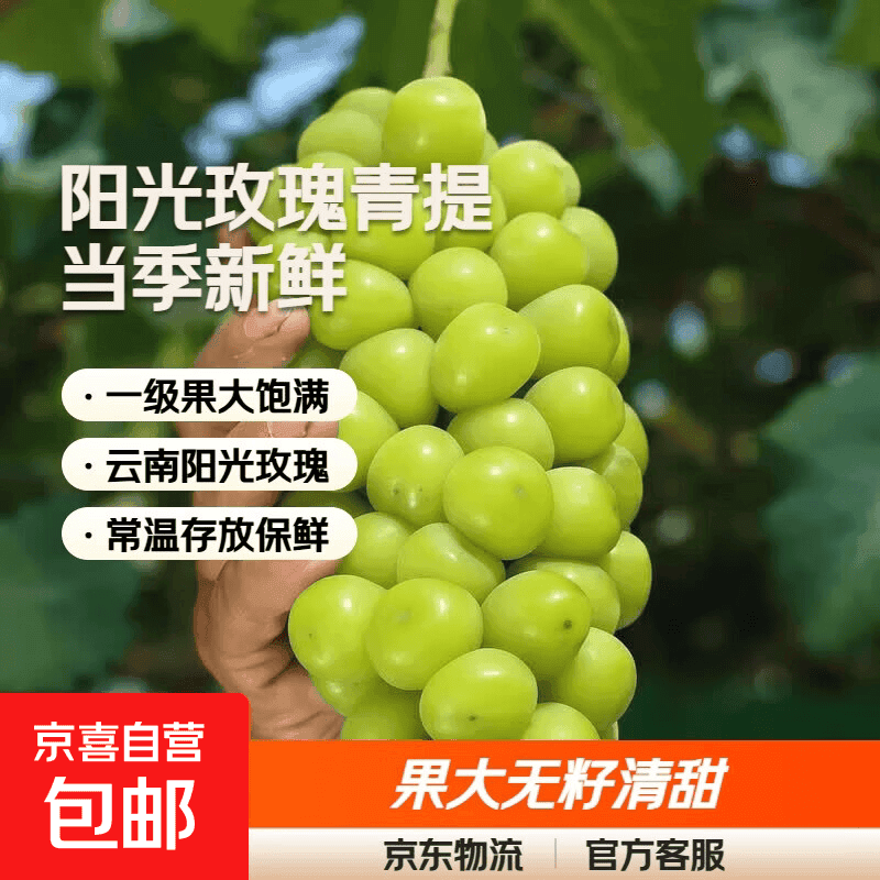 阳光玫瑰葡萄新鲜晴王礼盒香印葡萄孕妇应季水果 带箱5斤（净重4.5斤）单果8-12g