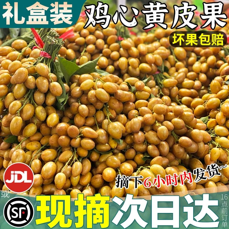 顺丰礼盒5斤冰糖鸡心黄皮果新鲜水果正宗广东黄弹子当季整箱包邮 - 商品图1