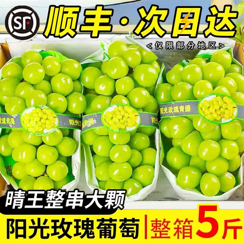 阳光玫瑰葡萄新鲜青提子晴王无籽香印葡萄当季整箱水果顺丰 - 商品图1
