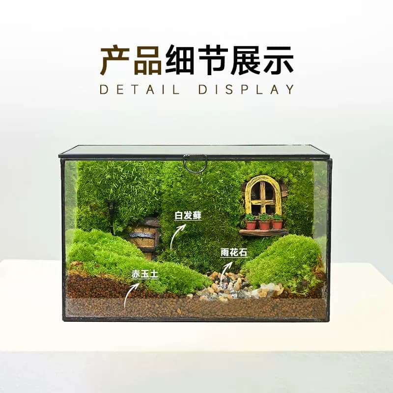七夕高端ins风苔藓微景观玻璃生态缸造景艺术植物绿植创意礼物 - 商品图1
