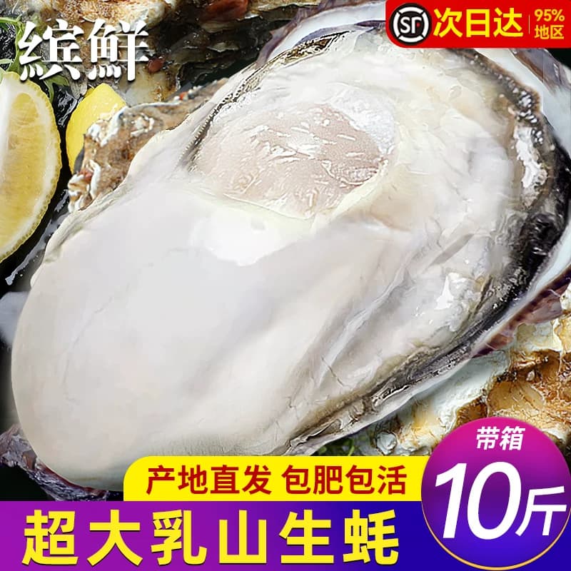 乳山生蚝鲜活特大10斤海蛎子烧烤生蚝鲜活批发生鲜牡蛎官方旗舰店 - 商品图1