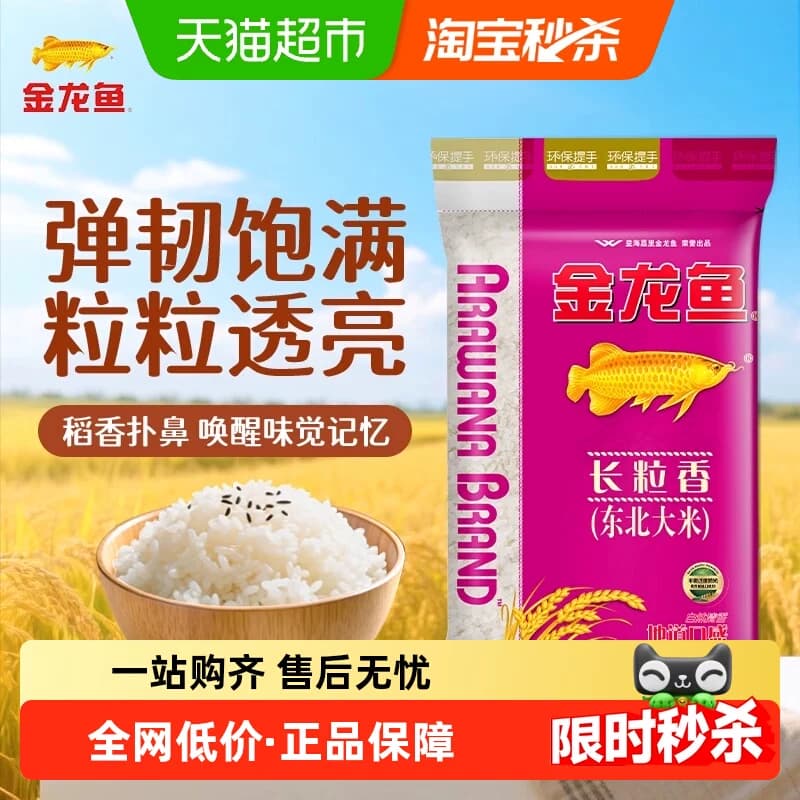 金龙鱼东北长粒香大米5kg*1袋东北大米 清香爽口 - 商品图1