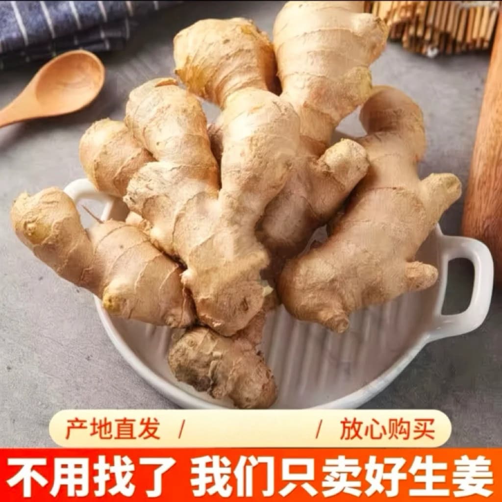 山东老姜生姜批发生长新鲜黄姜土姜现挖嫩姜鲜姜姜香浓郁 - 商品图1