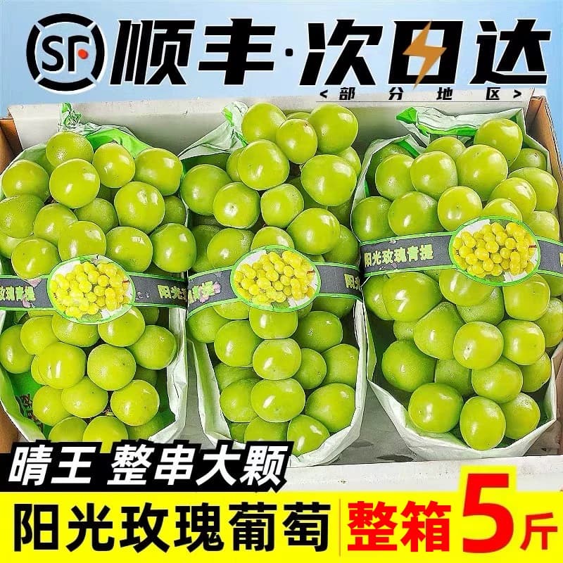 阳光玫瑰葡萄5晴王新鲜无籽香印青提水果礼盒顺丰应当季整箱包邮3 - 商品图1