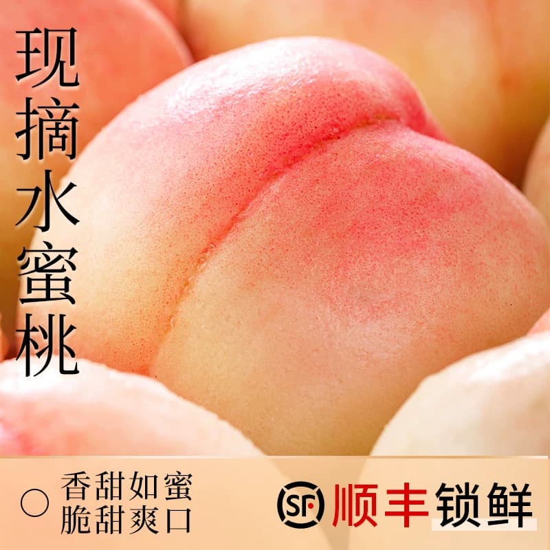 新鲜现摘水蜜桃10斤毛桃子当季露天水果脆甜春雪蜜桃大果孕妇整箱 - 商品图1