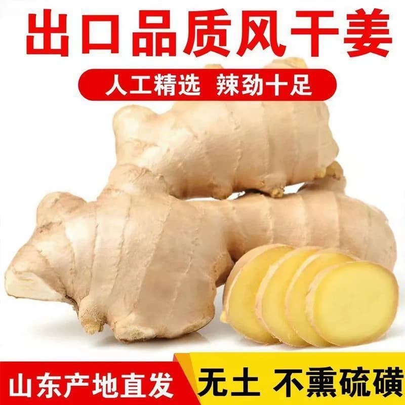 山东大姜优质生姜老姜新鲜大黄姜精品块老生姜老黄姜包邮食用姜汁