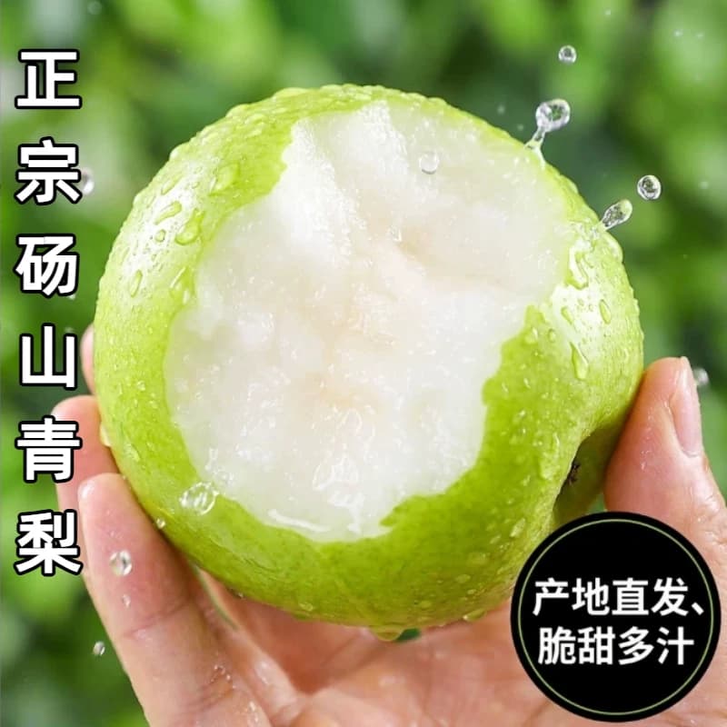 正宗砀山青梨新鲜水果皇冠梨10斤当季青皮蜜梨整箱包邮现摘果子 - 商品图1
