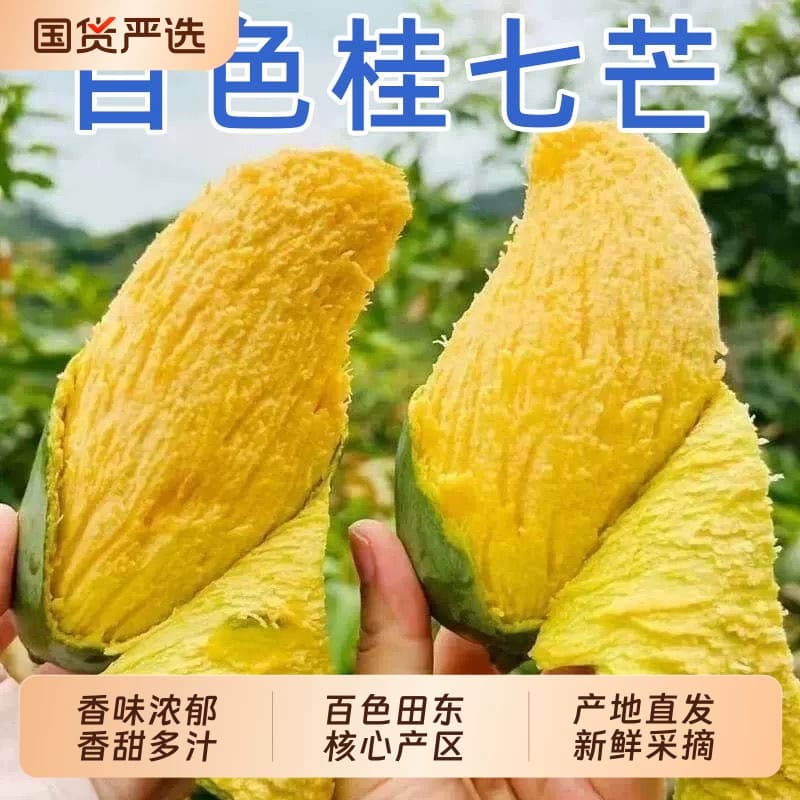 正宗广西百色桂七芒果新鲜当季水果现摘青皮整箱包邮大芒果国货 - 商品图1