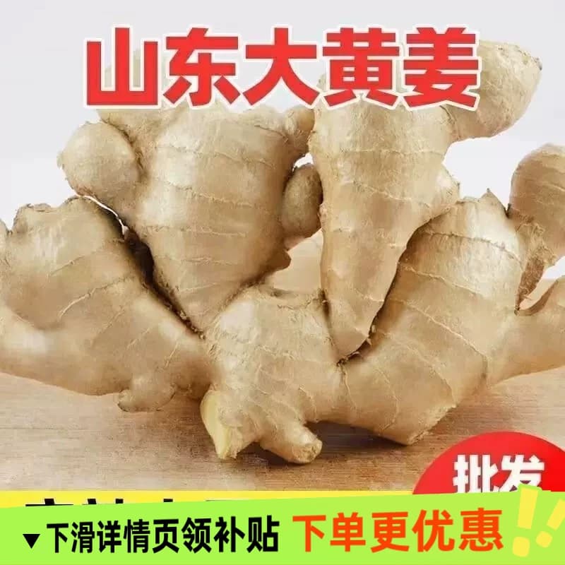 生姜山东大姜大黄姜风干姜优质姜新鲜纯天然老姜现挖大块老姜批发