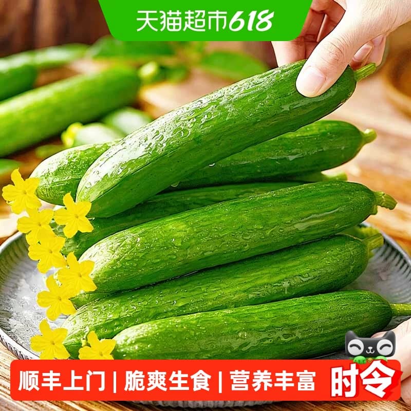 【繁花似锦】新鲜水果黄瓜脆爽生食脆嫩无刺健康蔬菜 - 商品图1