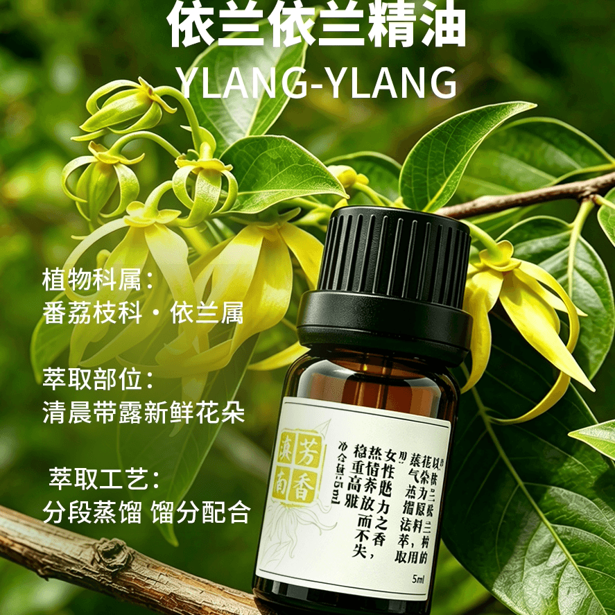 芳香滇南依兰精油依兰精油按摩全身舒缓放松高贵稳重单方精油 - 商品图1