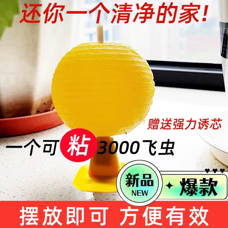 果蝇小飞虫诱捕器粘虫球灭杀神器室内去除蚊虫克星厨房蠓虫诱苍蝇