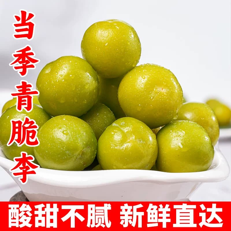 李子新鲜现摘批发当季应季孕妇助农水果特大青脆李 - 商品图1