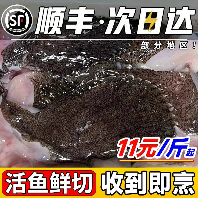 安康鱼安康鱼翅膀新鲜鱼鳍巴沙鱼鳍翅鱼肚鱼尾深海鱼海鲜水产生鲜