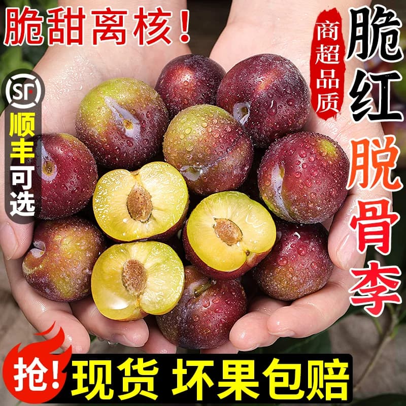正宗四川五月脆李5斤当季新鲜水果红脆脱骨李子脆甜蜂糖凤凰整箱 - 商品图1