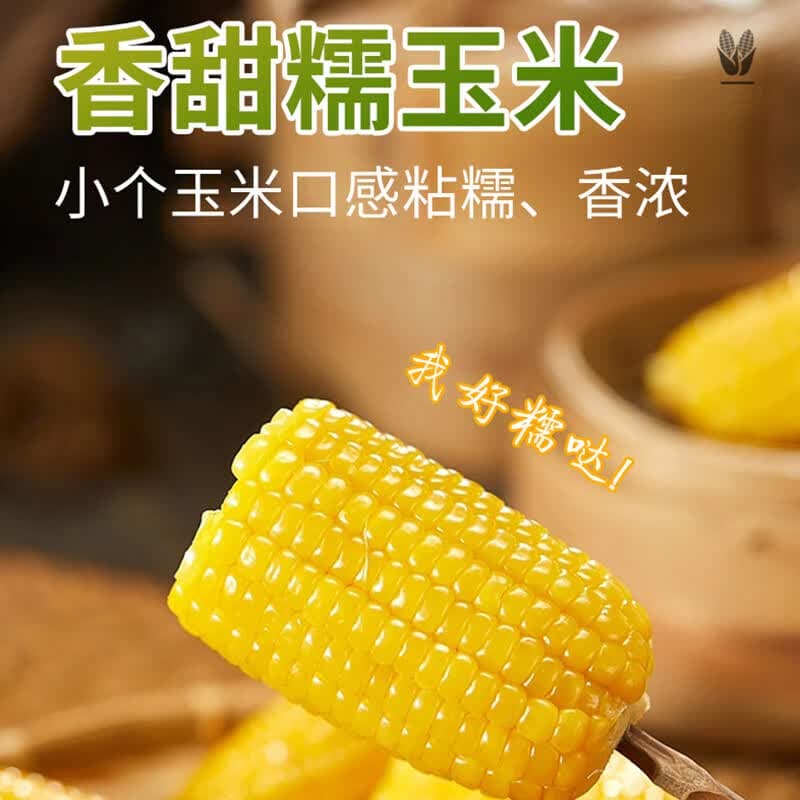 佟创 东北黄糯玉米新鲜糯甜玉米棒 代餐轻食真空包装玉米生鲜 东北黄糯玉米150g*10段 - 商品图1