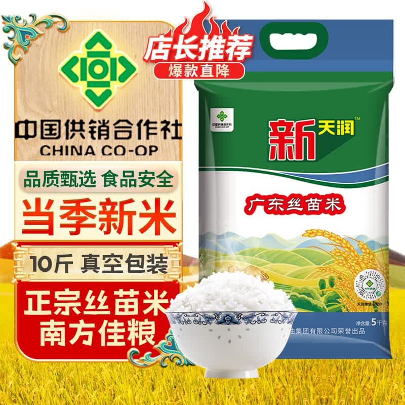 新天润广东丝苗米 5kg 十斤 南方籼米 大米 新供销天润 煲仔饭米 【家庭实惠-真空装】广东丝苗米 5kg - 商品图1