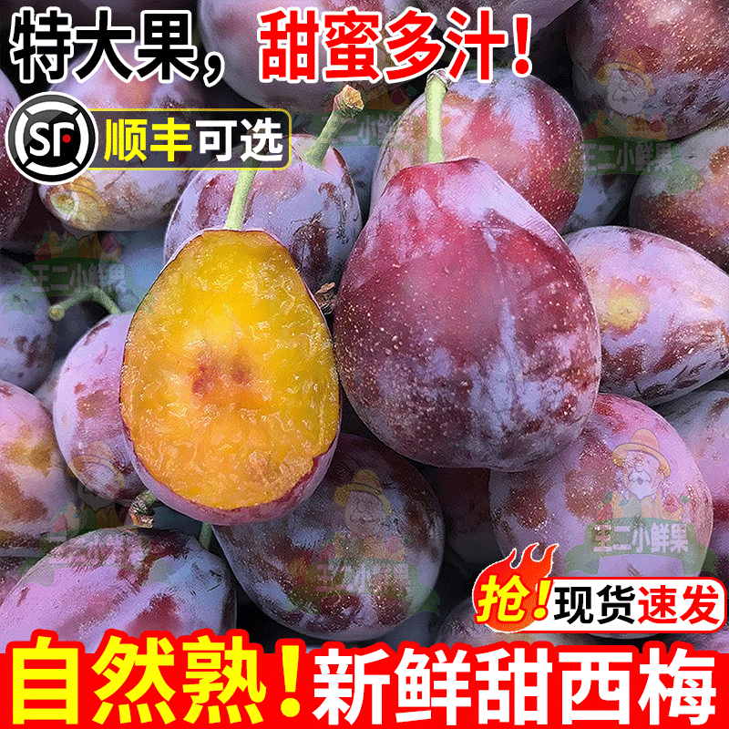 集南鲜 陕西当季蓝蜜女神西梅 现摘女神孕妇新鲜水果西梅李子 含箱5斤特级果 单果20g起 净重4.5斤 - 商品图1