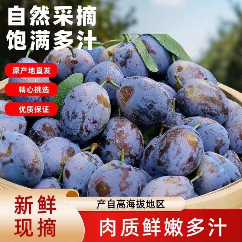 集南鲜 新疆头茬蓝蜜西梅法兰西 新鲜水果女神孕妇李子梅子整箱大果 含箱5斤 单果20g起 净重4.5斤 - 商品图1