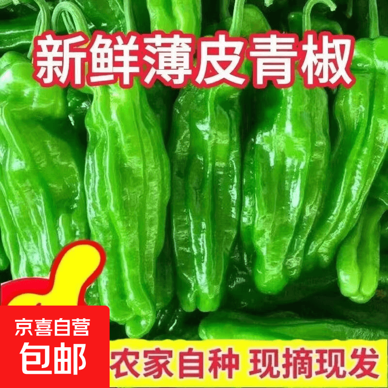 薄皮苏椒芜湖椒微微辣超薄皮鲜脆菜椒基地直发蔬菜 一斤 - 商品图1
