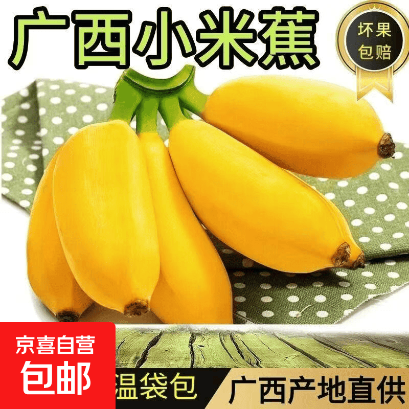 新鲜香甜软糯香蕉水果生鲜小米蕉特产现采现发有益健康美味好吃 小米蕉带箱9斤 - 商品图1