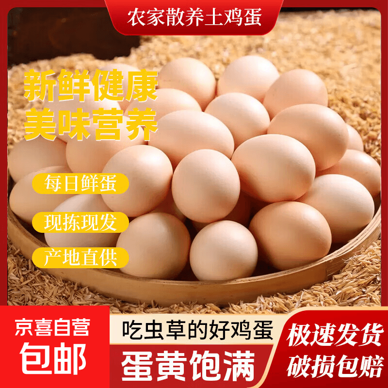 山林正宗自养鲜鸡蛋鲜鸡蛋新鲜鸡蛋现捡生鲜买菜单枚40g-45g 山林自养土鸡蛋10枚 - 商品图1
