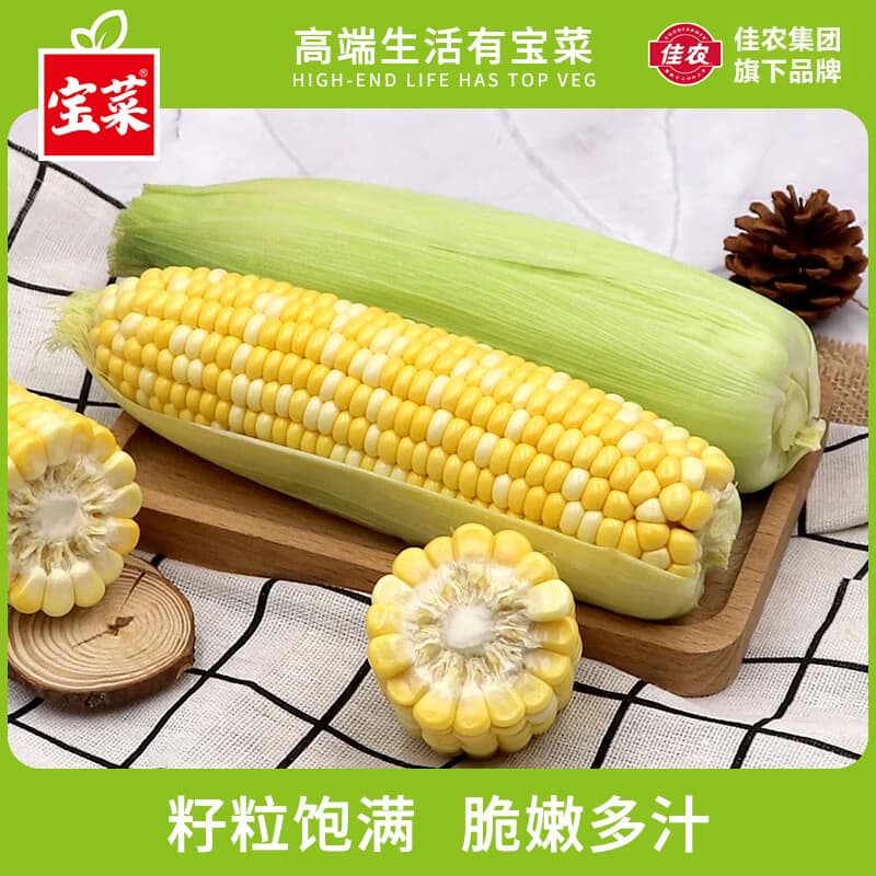 宝菜玉米云南新鲜金银玉米带皮水果玉米棒低脂减肥早餐 整箱包邮 净重3斤【皮薄汁多】约3-5根 - 商品图1