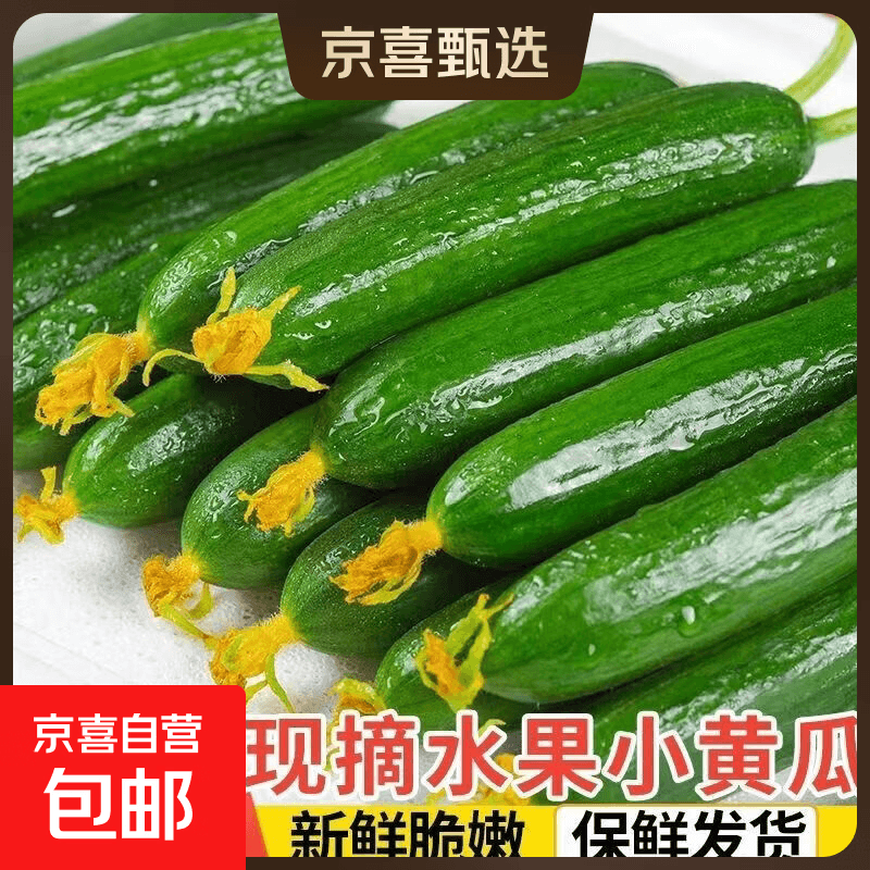 京喜加【东东买菜】寿光水果黄瓜无刺小黄瓜小青瓜生吃新鲜瘦身减脂蔬菜 黄瓜新鲜带箱 2斤 - 商品图1