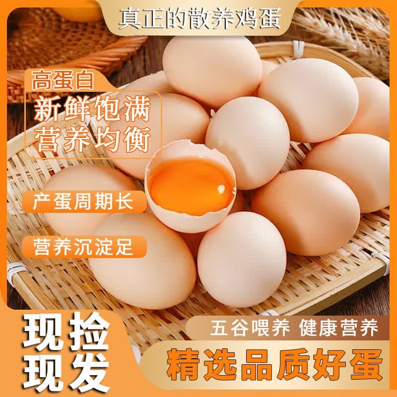 臻选鲜鸡蛋 40g±5g/枚 当日现捡20枚 - 商品图1
