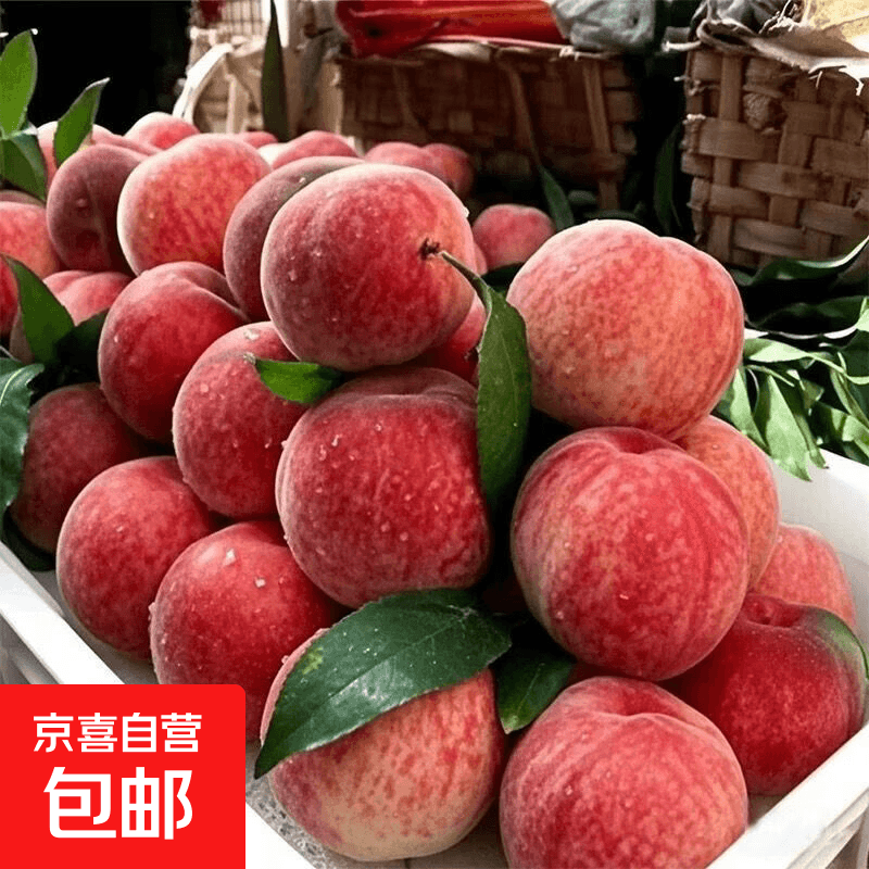 【东东农场专供】湖北露天水蜜桃新鲜时令应急水果大毛桃子整箱 【特大果尝鲜】1斤(单果100g+)【2-4粒】 - 商品图1