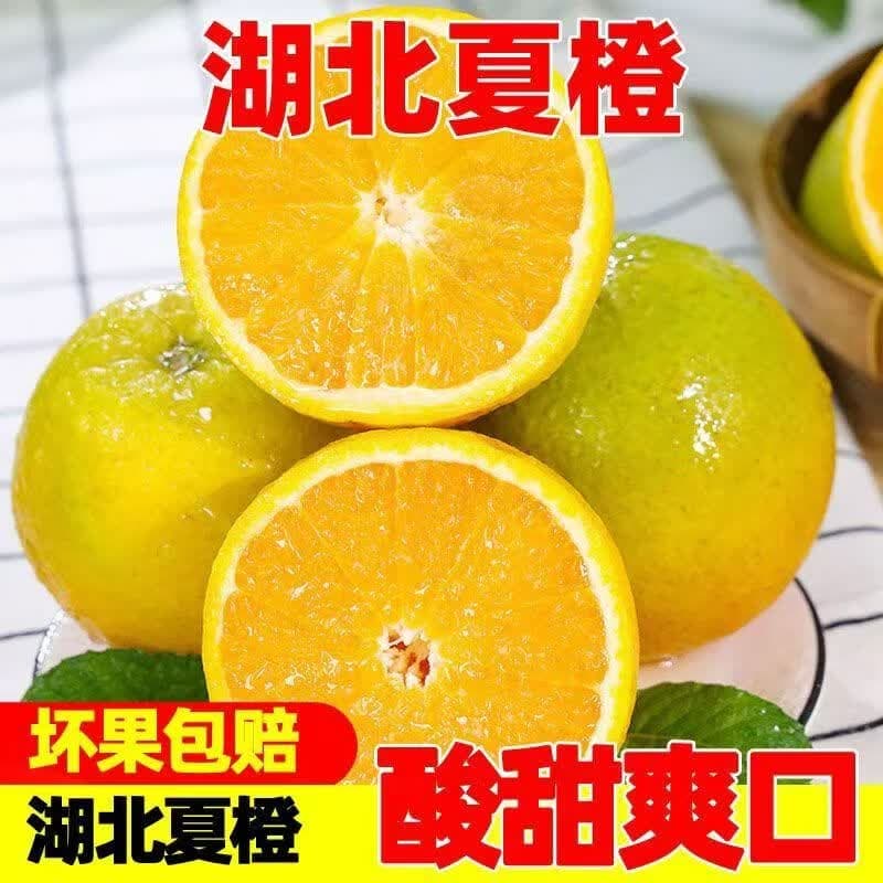 您家橙湖北秭归夏橙当季新鲜橙子现摘孕妇水果酸甜多汁 夏橙净重9斤130g - 商品图1