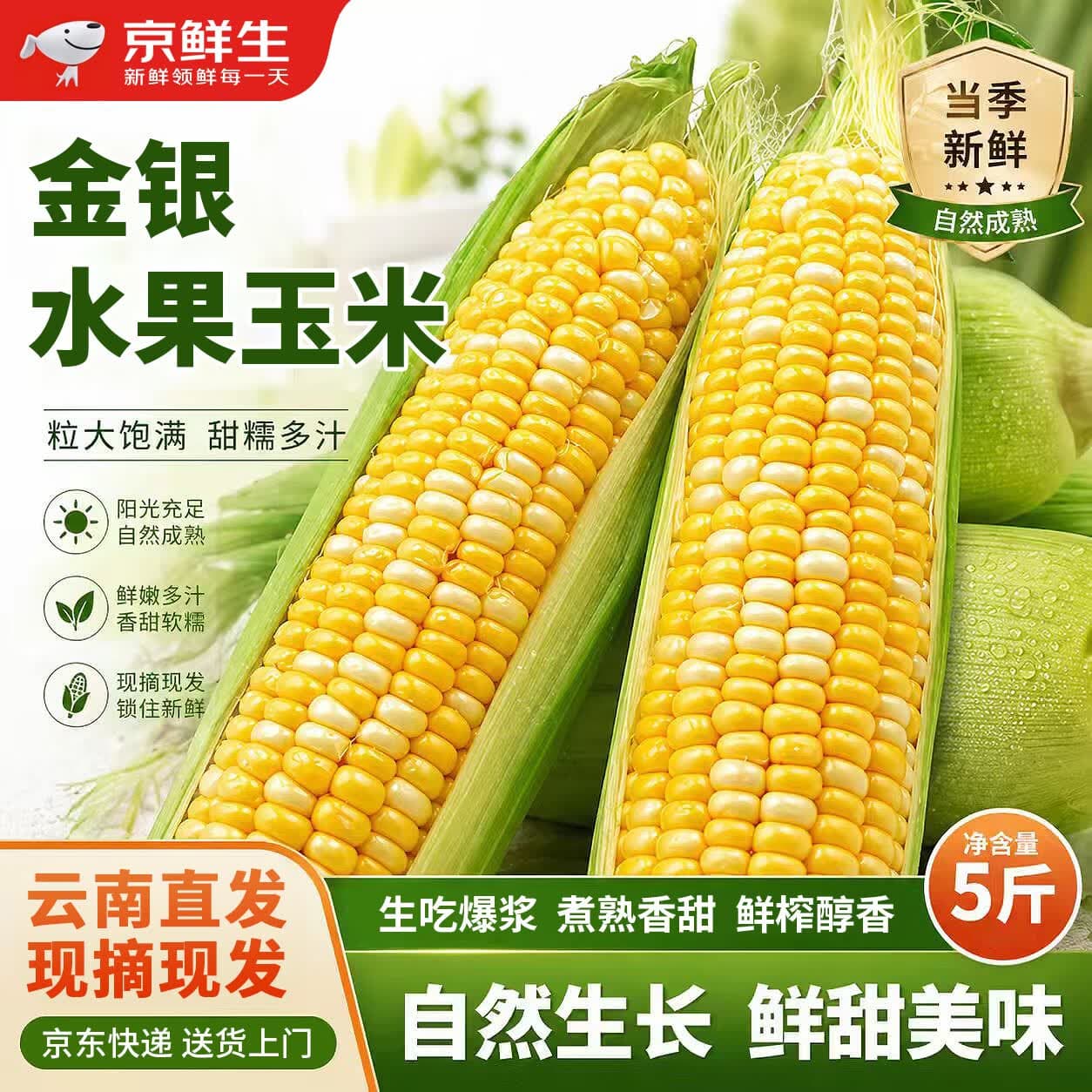 京鲜生 云南金银鲜水果玉米 带皮净重5斤单果300g+新鲜嫩包谷 源头直发 - 商品图1