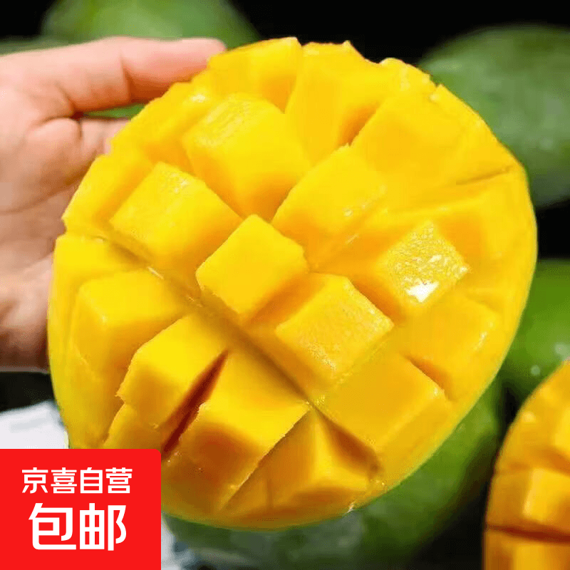 【超值】攀枝花凯特芒果大脸芒新鲜大芒果特大青皮芒当季整箱X 攀枝花凯特大芒果 含箱9斤【单果300g起】小果净重8斤 - 商品图1