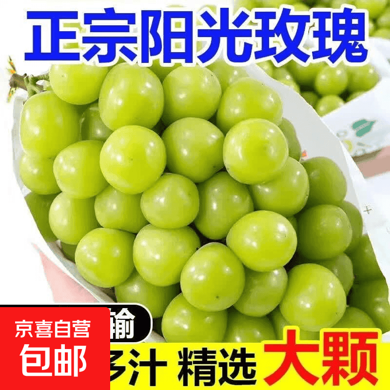 四川阳光玫瑰葡萄新鲜水果香印青提子晴王葡萄应季孕妇水果 带箱4斤(单果6克+)净重3-3.5斤 - 商品图1