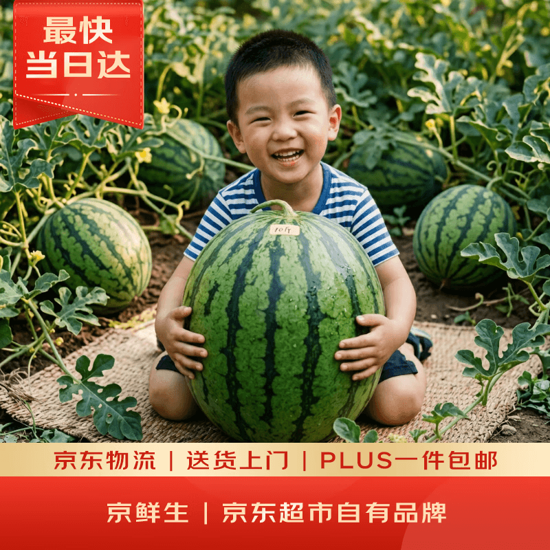 京鲜生 无籽麒麟大西瓜 1粒装 10-14斤 新鲜水果 - 商品图1