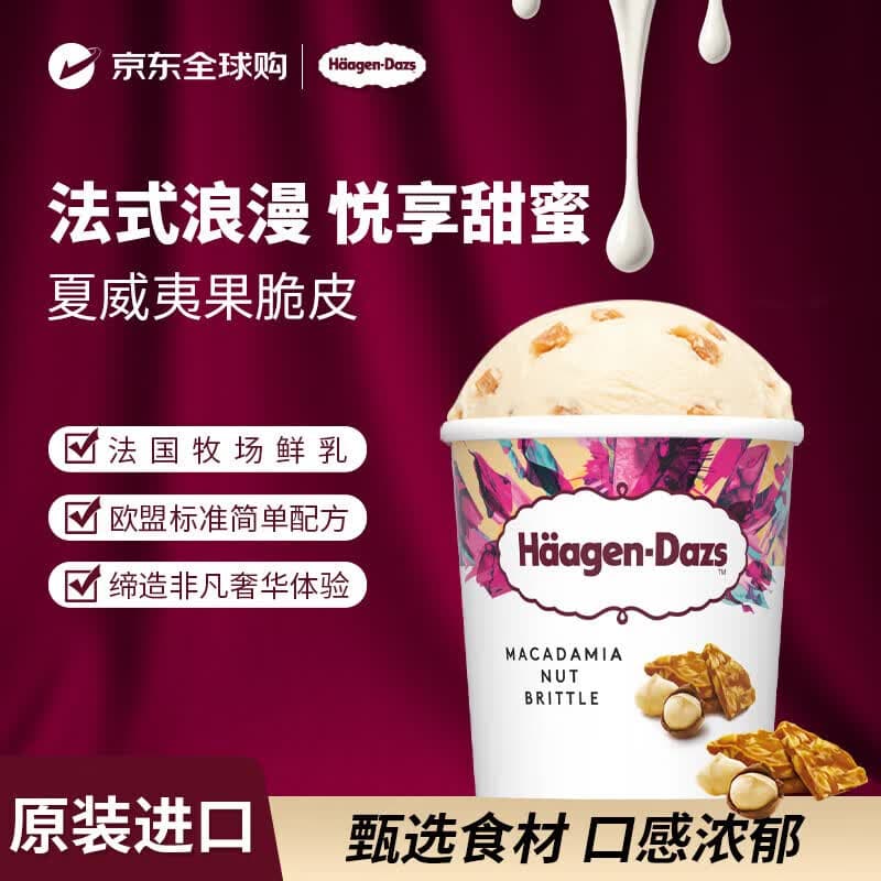 哈根达斯(Haagen-Dazs)哈根达斯夏威夷果薄脆冰淇淋460ML/桶 - 商品图1