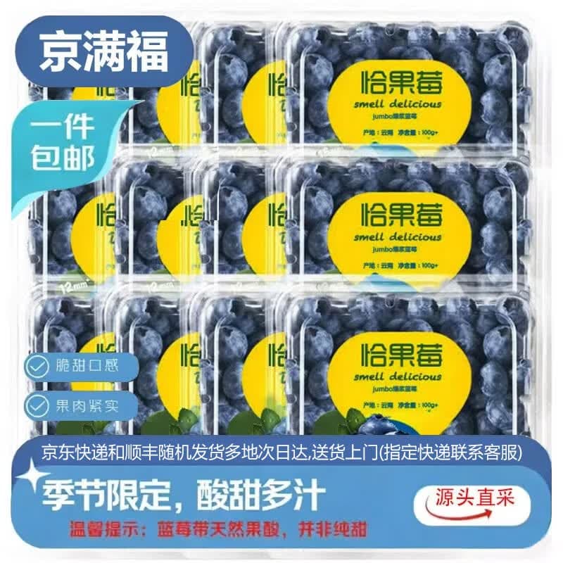 京满福云南花香蓝莓 新鲜蓝莓 应季时令生鲜水果整箱 4盒装 单果12-15mm 净重4*100-125g/盒 带箱1斤 - 商品图1
