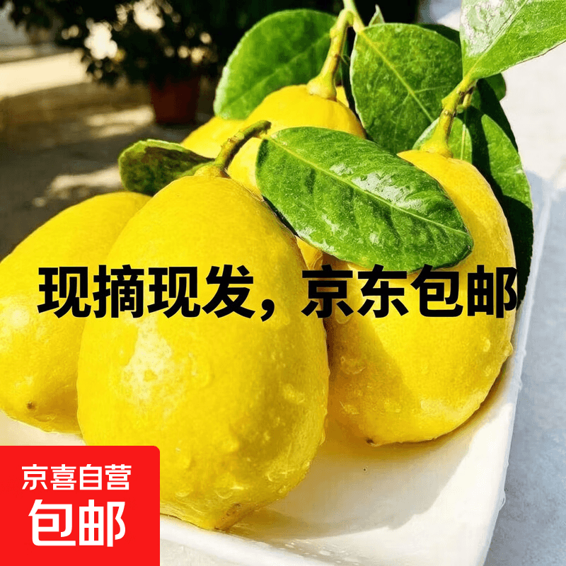 京东包邮直达果园现摘黄柠檬新鲜天然鲜果酸甜柔和不涩口奶茶店 广东香水黄柠6颗单果65g+ - 商品图1