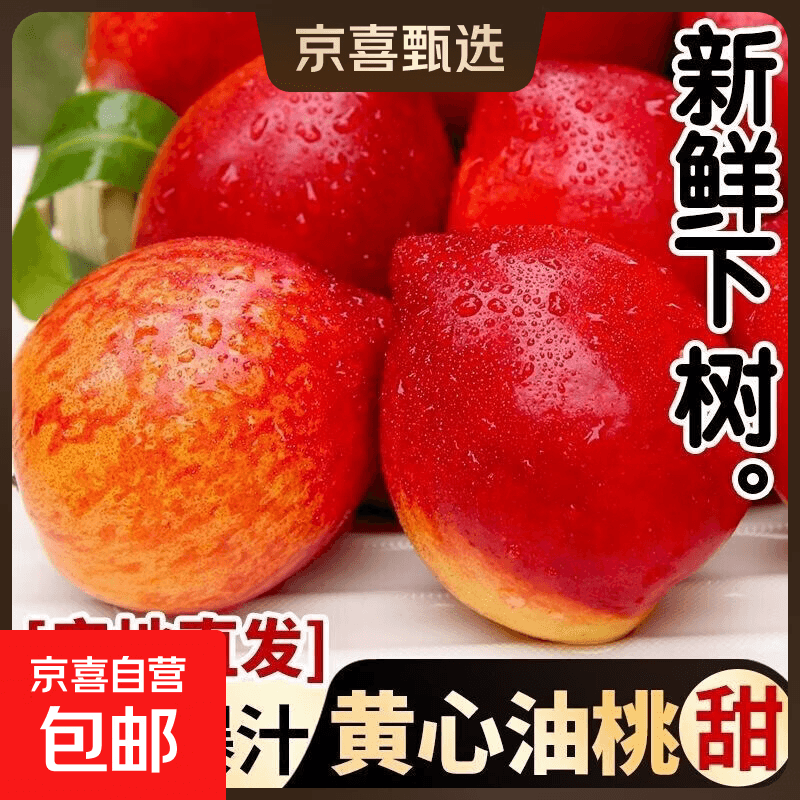 山西/山东黄肉红油桃 香甜多汁 硬吃脆甜 软吃爆汁 新鲜采摘桃子 带箱5斤果王(净重4.5斤 ) - 商品图1