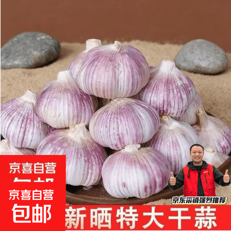 2026新干蒜今日福力农家紫白皮杞县特产大蒜头 【每头直径4.5厘米起】5头 - 商品图1