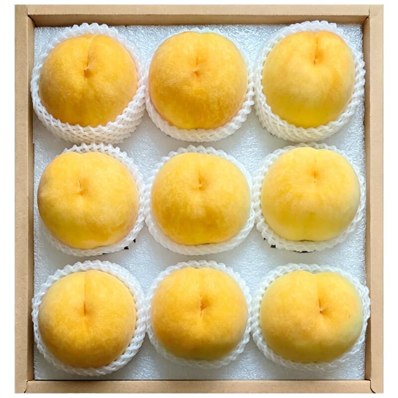 硕醴纪正宗山东蒙阴黄桃 毛桃桃子 新鲜水果整箱 5斤装 精选单果2-3两 净重4.5-5斤 - 商品图1