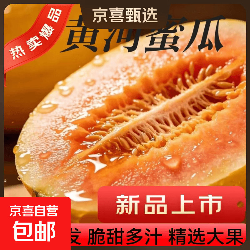 民勤蜜瓜黄金蜜瓜新鲜水果产地现发新鲜爆甜多汁头茬 净重8.5斤2-5个 - 商品图1