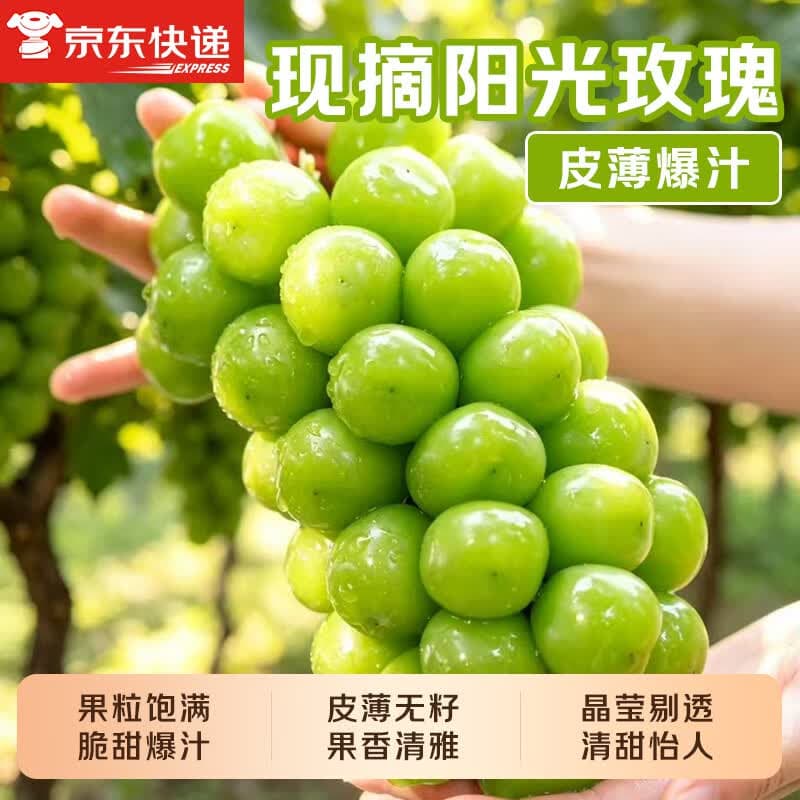 勿语阳光玫瑰葡萄新鲜无籽青提当季现摘 香印提子包邮孕妇水果 【甄选爆甜精品款】铂金果带箱5斤(单果8g+)净重4斤 - 商品图1