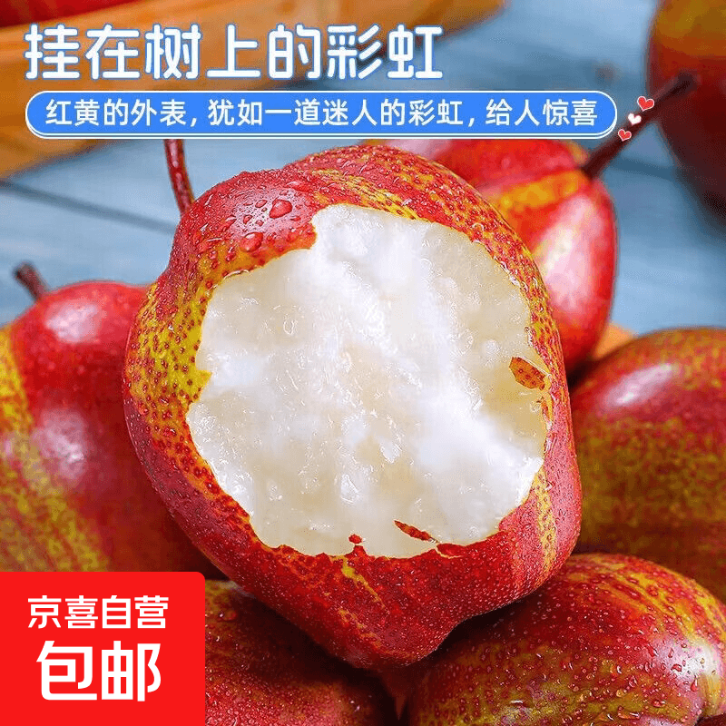 京喜加河北辛集市果园直发彩虹梨挂在树上的彩虹青梨晚霞梨生鲜水果送礼 彩虹梨 带箱5.1斤单果200g+(净重4.6斤) - 商品图1