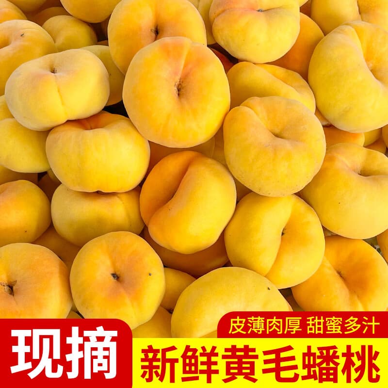 升阳农场蒙阴彩虹蟠桃应季桃子源头直发 黄毛蟠桃 净重4.5斤,单果125g+ - 商品图1