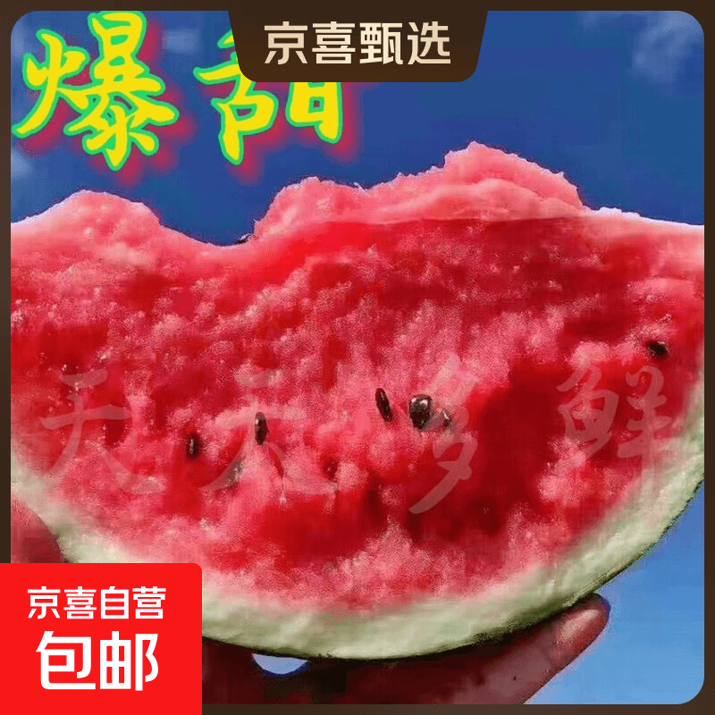 现摘麒麟西瓜美都8424冰糖新鲜应季有籽薄皮整箱水果 净重5-6斤(一个瓜) - 商品图1