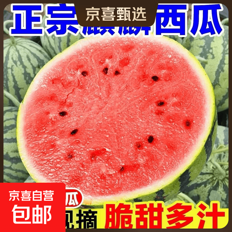 正宗麒麟美都新鲜西瓜现摘现发产地应季水果批发薄皮超甜西瓜 带箱5-6斤新鲜现摘 - 商品图1