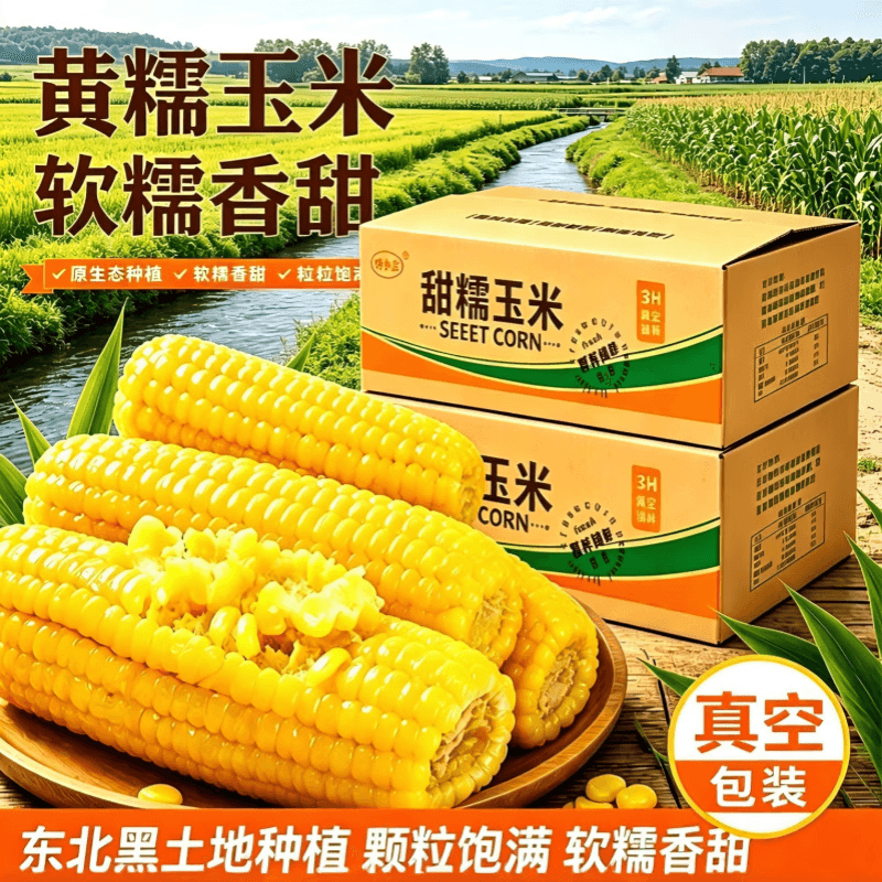 馋乡玉正宗东北玉米甜糯玉米新鲜玉米黄糯玉米粘黏真空玉米苞米老少皆宜 东北黄糯玉米6根*1250g - 商品图1
