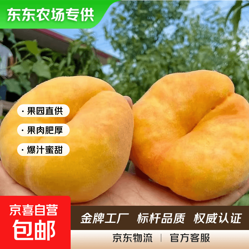 【东东农场专供】山东黄金毛蟠桃扁桃当季时令孕妇水果沂蒙特产 【热卖大果】颗颗甄选150g+ 带箱1斤净重0.8斤 - 商品图1