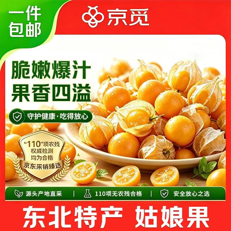 京觅东北姑娘果净重2斤灯笼果黄菇娘洋姑娘果水果特产 源头直发包邮 - 商品图1
